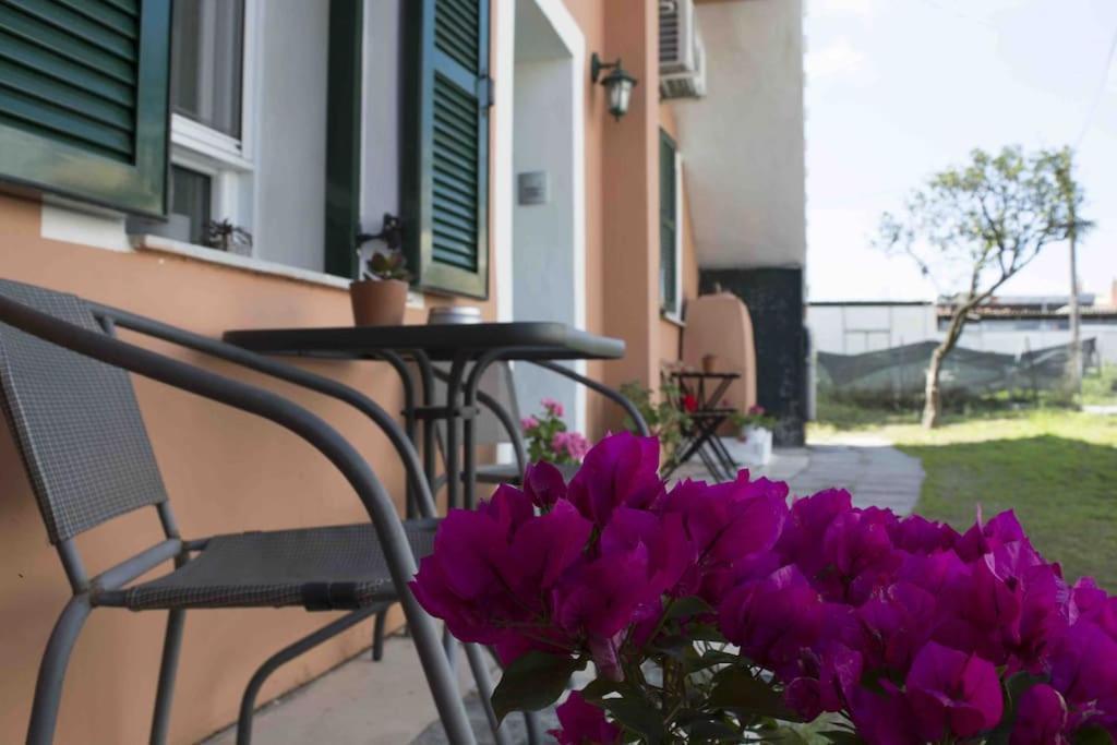 Apartment Helia 2 *